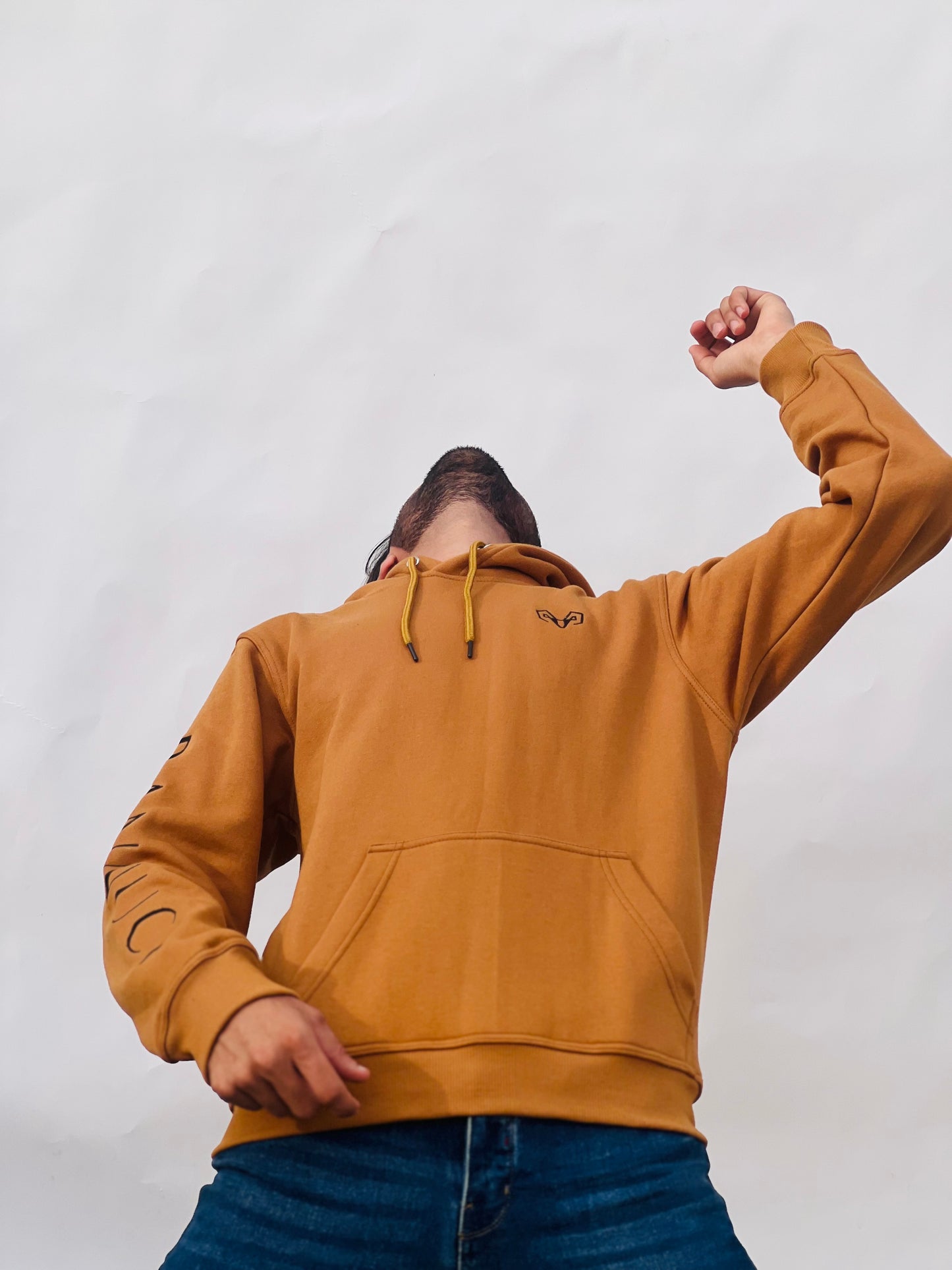 Classic Brown Hoodie By Bannuci